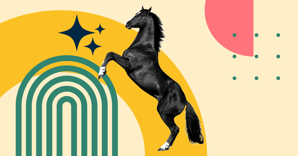 Don't Be a 'One Trick Pony'