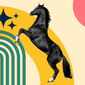 Don't Be a 'One Trick Pony'